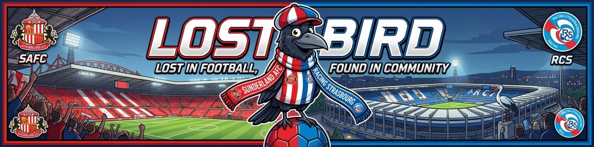 Lostbird kommt