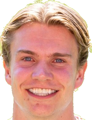 Niklas Vesterlund